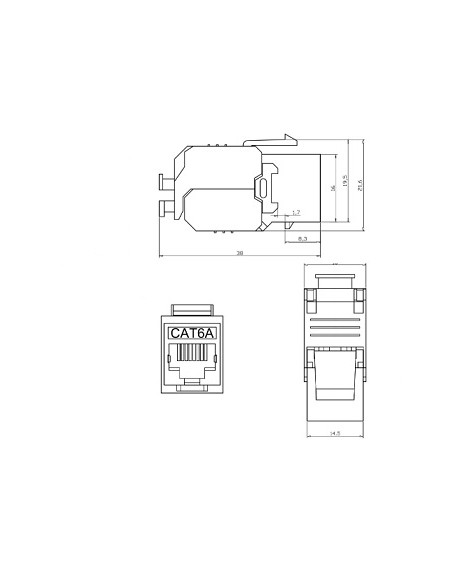 Modulo hembra RJ445 Cat 6 FTP ( Esquema)